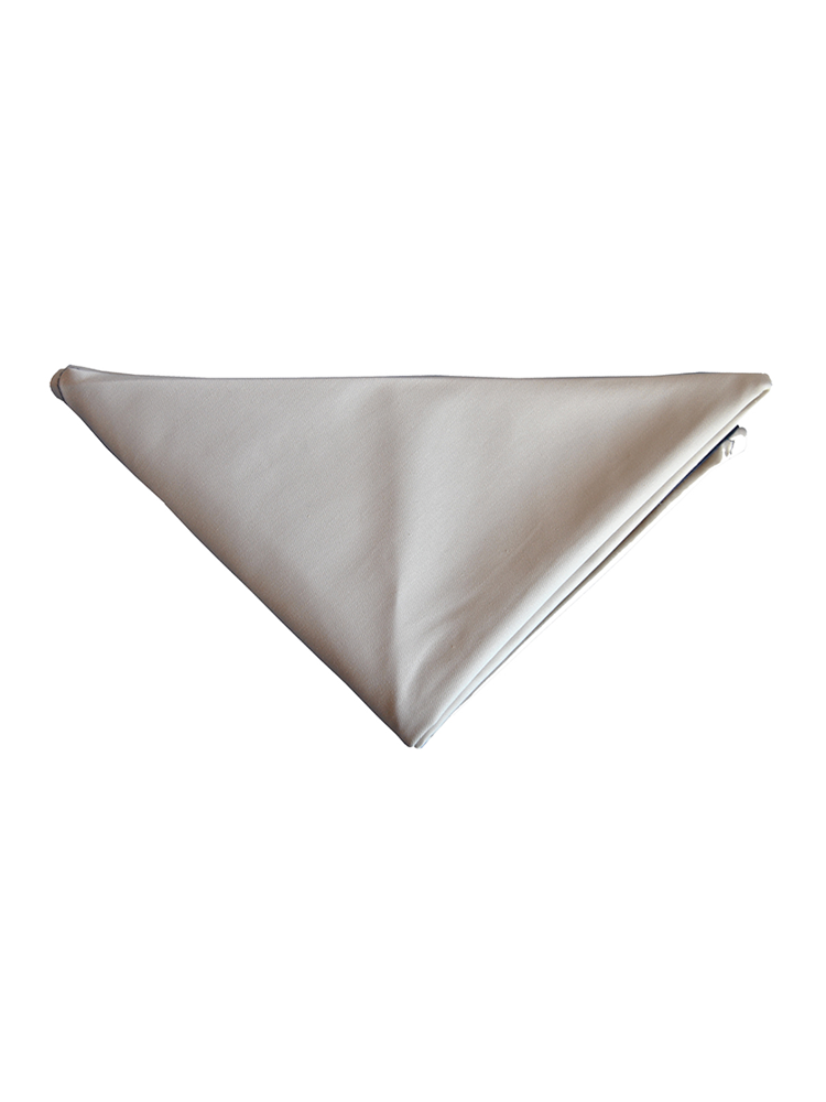 Unisex Housekeeping Doek Pricewise: Triangular
