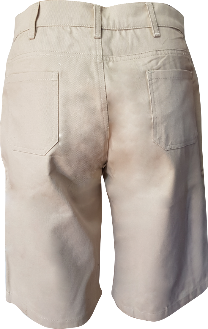 Ladies' Shorts: Low Rise Flat Front