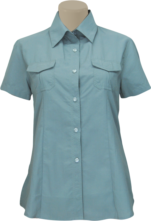 Ladies' Back Vent Shaped Shirt: Short Sleeve